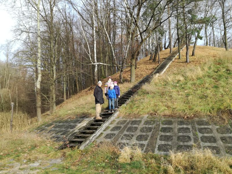 Vaizdas:Vieskunu 1.jpg